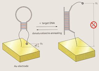 FEATURE-aptamers-320