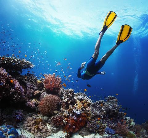 Freediver exploring underwater 