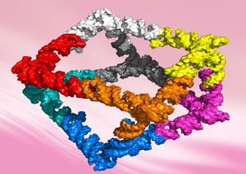 Three dimensional model of the non-uniform square antiprism