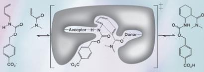 Diels-Alder-enzyme-410