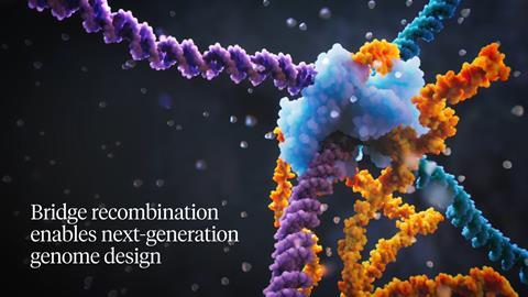 Bridge recombination mechanism