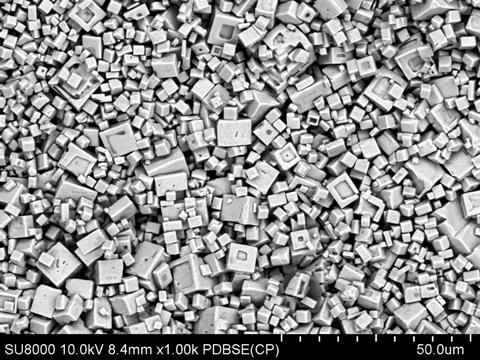 Microscopy image