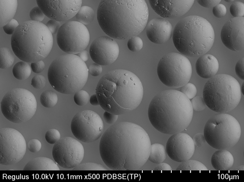 Microscopy image