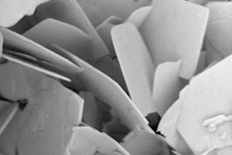 An image showing a SEM photograph