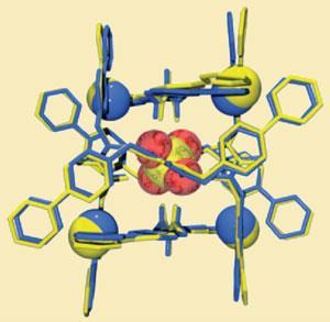 sulfate_receptor-300