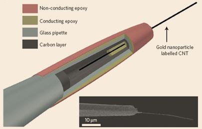 endoscope-405