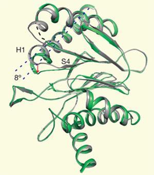 TB-small-molecule-300