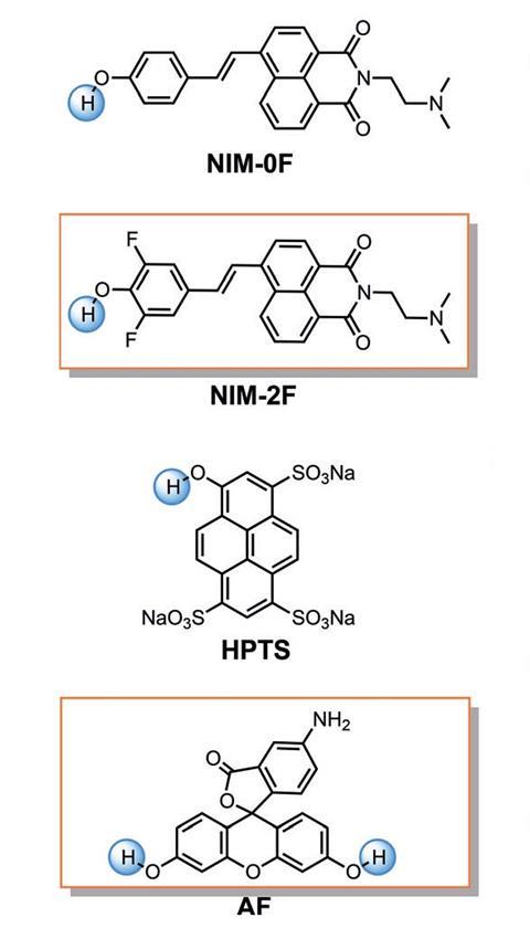 An image showing the molecular structure of compounds used in this study