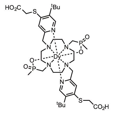 Dysprosium contrast agent