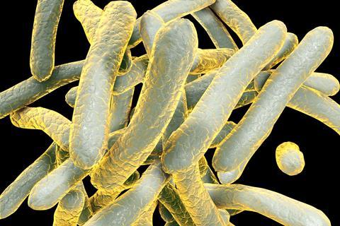 Mycobacterium tuberculosis