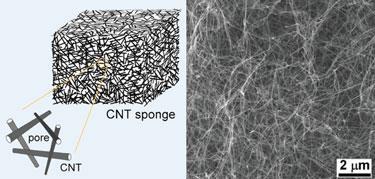 CNT-sponge-375
