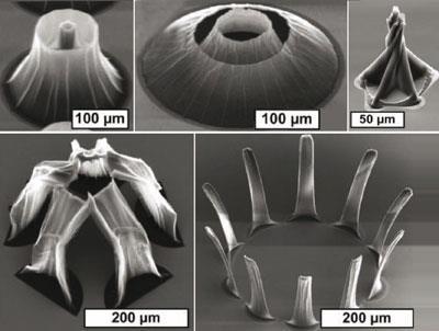 nanotube-capillary-architectures-400