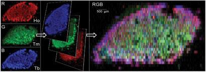 FEATURES_SPECIATION_pg055a_410