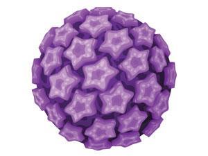 Hpv virus