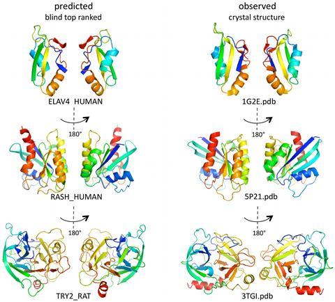 0418CW - Protein folding Feature - Predicted and observed structures