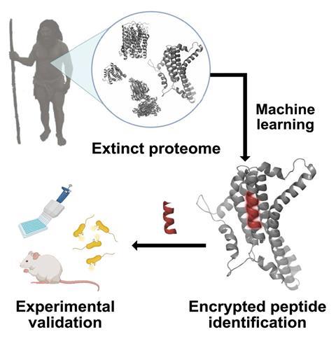 Graphical abstract