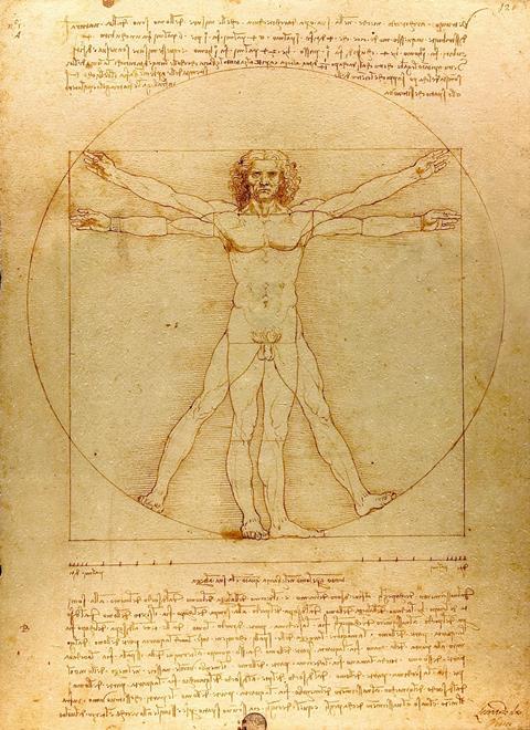 Vitruvian Man (c 1492)