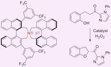 chiral-iodine-salt-catalyst-380