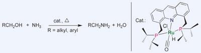 amines-400