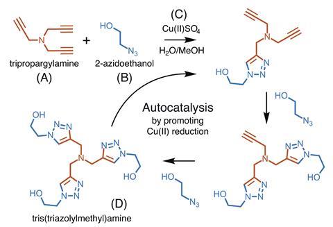 A scheme showing the copper catalyzed azide–alkyne cycloaddition reaction