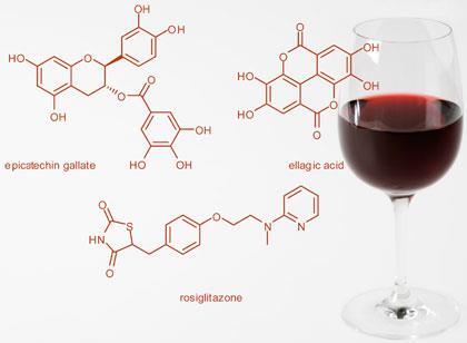 Antioxidant compounds in red wine