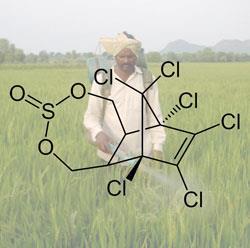 endosulfan-spraying-pesticides-india-250