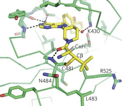 Crystal structure of a docked reversible inhibitor
