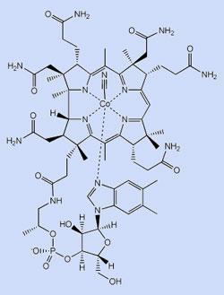 vitaminb12-300