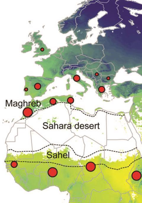 Tracking migrating butterflies using stable isotopes - without axes and key