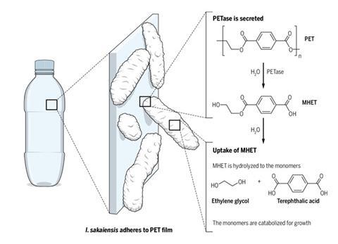 Recycling Plastic Film and New Plastics Recycling Research