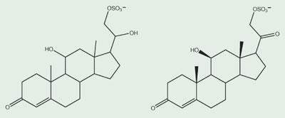 Nosari-et-al-Pheromones-400