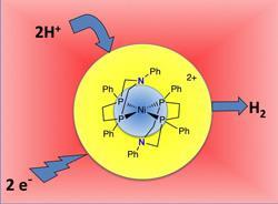 nickel-centre_250