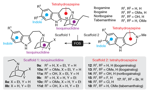 Chemists Tame Shamanic Addiction Treatment Research Chemistry World