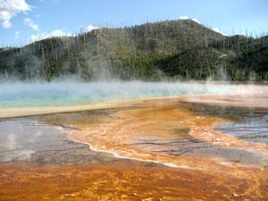 geyser-yellowstone-dreamstime_300