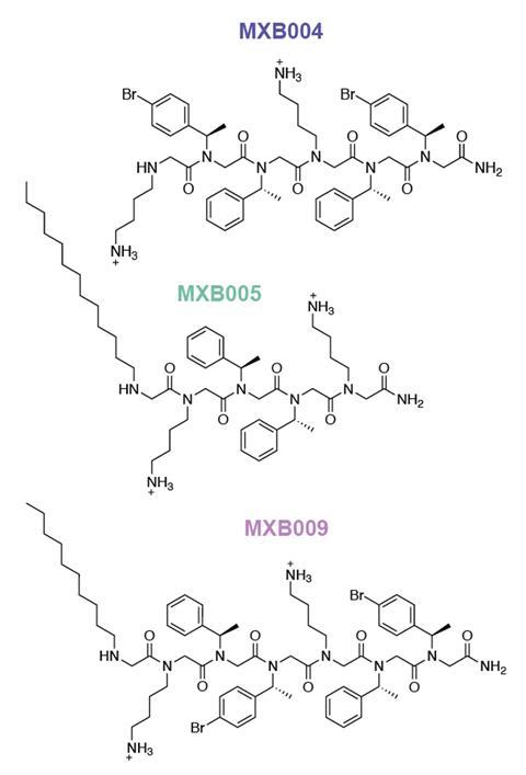 Structures of some of the peptoid molecules