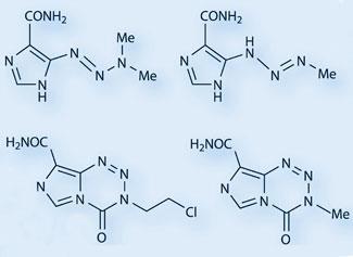 FEATURE-temozolomide-325