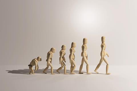 Human evolution