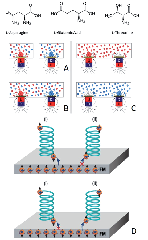 Experimental setup