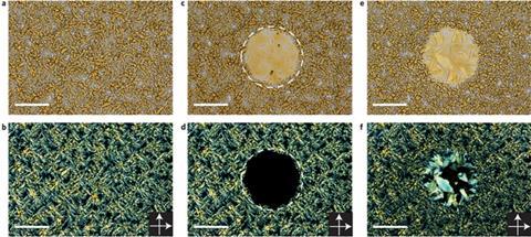 Novel compounds make light work of trapping carbon dioxide | Research ...