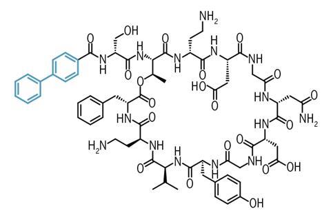 Cilagicin BP