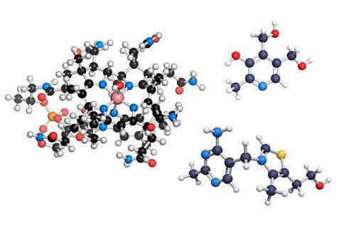 De nouvelles catégories scientifiques apportent de la vitalité