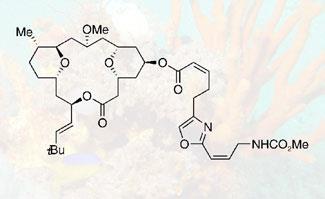 leucascandrolide-A-325-