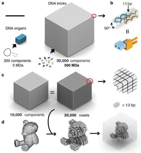 Three-dimensional nanostructures self-assembled from DNA bricks