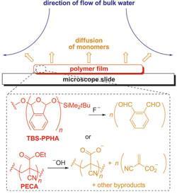 polymer-pump_250