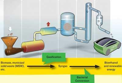 FEATURE-BIOFUELS-400