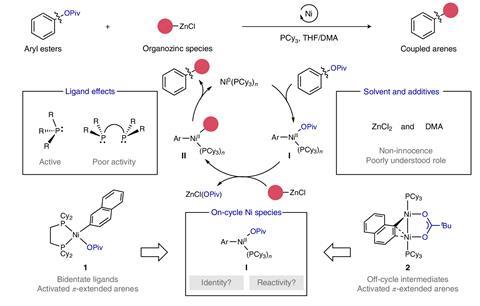 A diagram of a chemical cycle