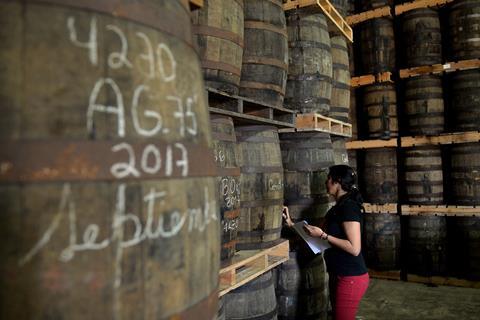 An image showing a worker checking rum barrels