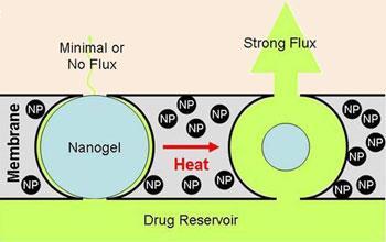 Membrane-schematic-350