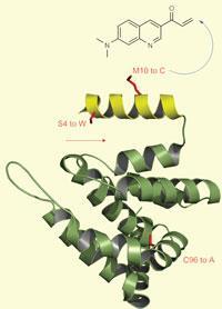 cellular-lipids_200