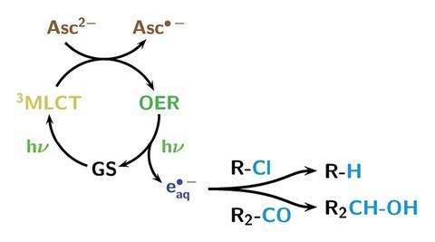 Cyclic mechanisum for the generation of hydrated electrons using green light